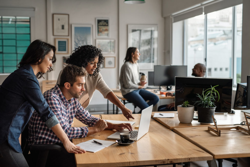 people using laptop in office