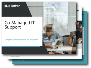 ebook-co-managed IT Support